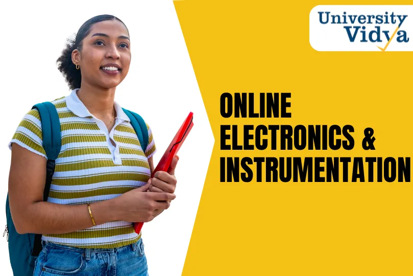 Online Electronics and Instrumentation Engineering Course