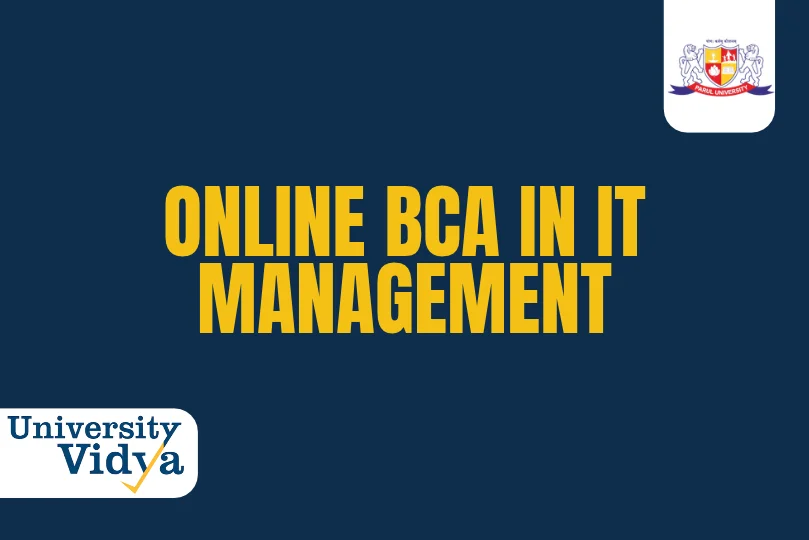 Online BCA in IT Management