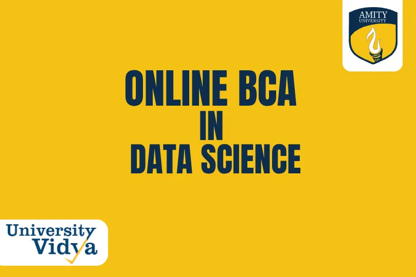 Online BCA in Data Science