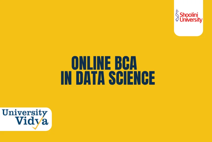 Online BCA in Data Science