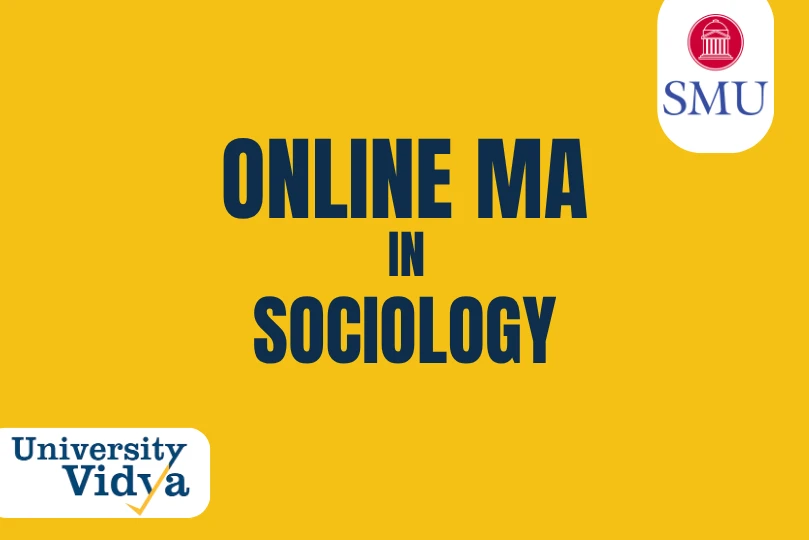 Online MA in Sociology