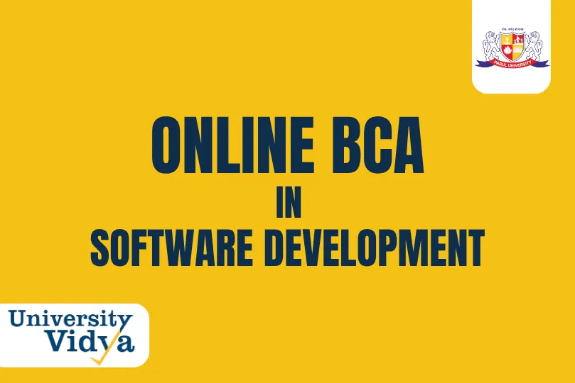 Online BCA in IT Management