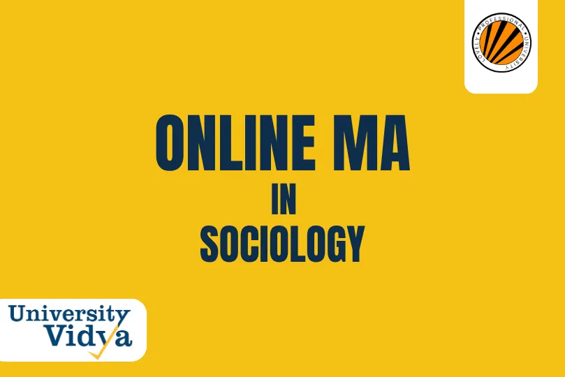 Online MA in Sociology