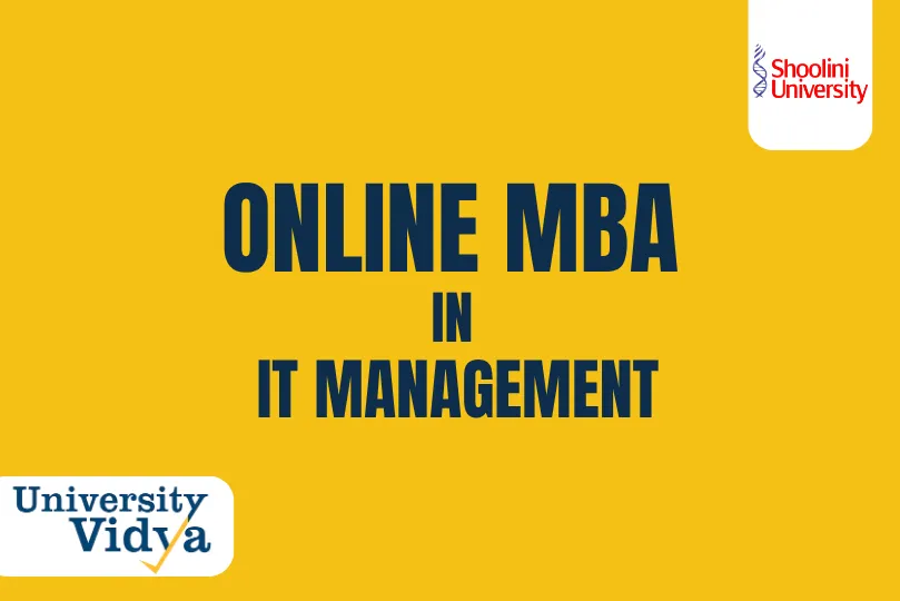 Online MBA in IT Management